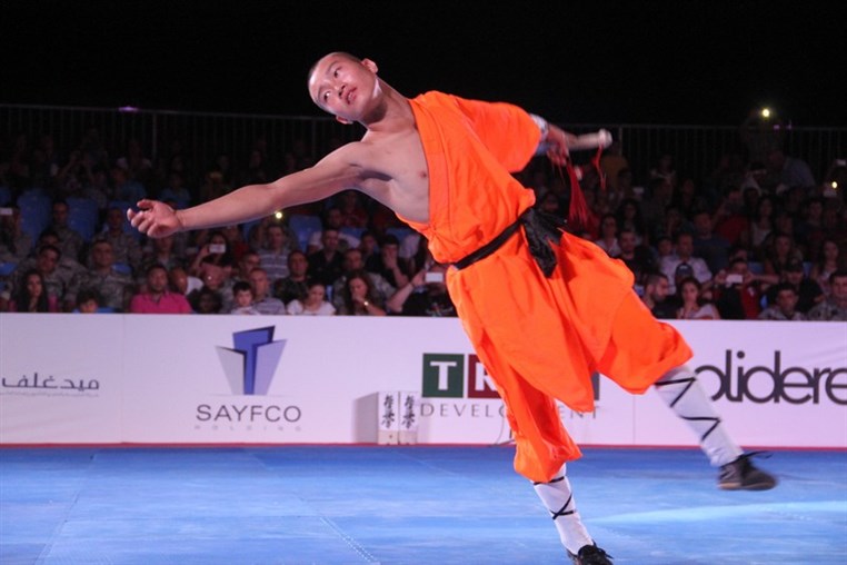 Martial Arts Festival